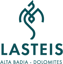 Il logo di Lasteis: la testa del drago
