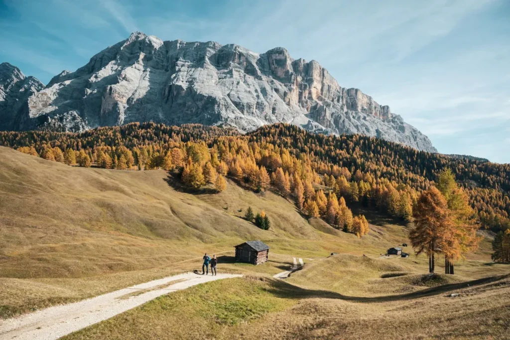 Larici in autunno in Alta Badia (foto Alex Moling, altabadia.org)